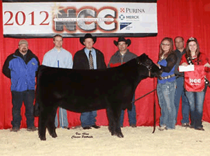 2012 Champion Angus Heifer - Nebraska Cattlemens Classic